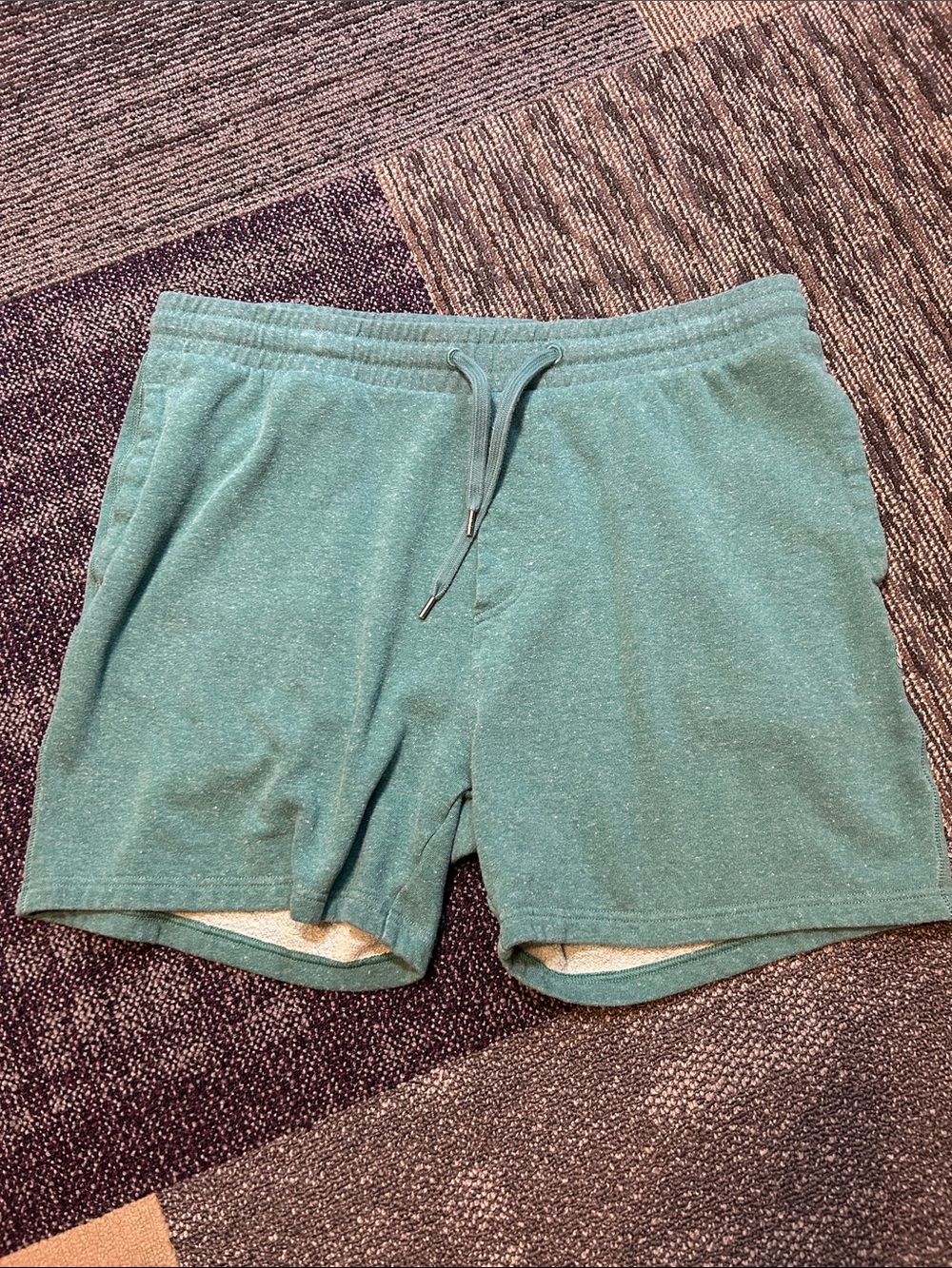 American Eagle Outfitters Teal Drawstring Athletic Shorts